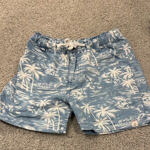 Blue Tropical Palm Print Shorts